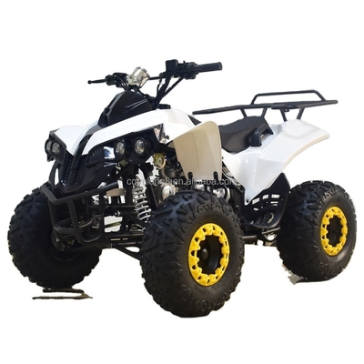 49cc 50cc 125cc 가스 가동 미니 쿼드 자전거 ATV 어린이 또는 성인용 휠베이스 1000-1400mm