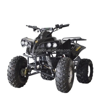 49cc 50cc 125cc 가스 가동 미니 쿼드 자전거 ATV 어린이 또는 성인용 휠베이스 1000-1400mm