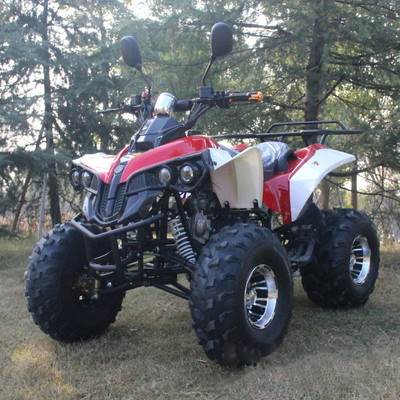 49cc 50cc 125cc 가스 가동 미니 쿼드 자전거 ATV 어린이 또는 성인용 휠베이스 1000-1400mm