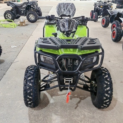 앞 디스크 후방 디스크 브레이크 150CC 200CC 250CC 오프로드 모험을 위한 ATV 쿼드 자전거