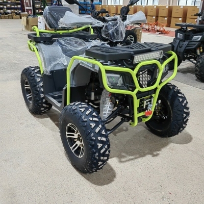 앞 디스크 후방 디스크 브레이크 150CC 200CC 250CC 오프로드 모험을 위한 ATV 쿼드 자전거