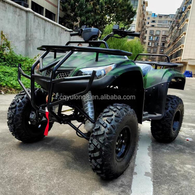 250cc 4타크 4륜 오프로드 ATV 체인 드라이브 및 사용자 정의 기능