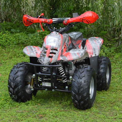 110cc 체인 회전 4륜 ATV 최대 토크 Nm 20-40Nm 주행 마일리지 50-70km