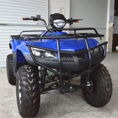 성인용 전기 ATV 2자리 산악인 200cc 250cc 150cc 전면 차량
