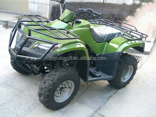 성인용 전기 ATV 2자리 산악인 200cc 250cc 150cc 전면 차량