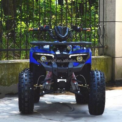 125cc/150cc 4륜 ATV 4타크 스포츠 운전용 4WD 타입