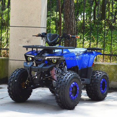 125cc/150cc 4륜 ATV 4타크 스포츠 운전용 4WD 타입
